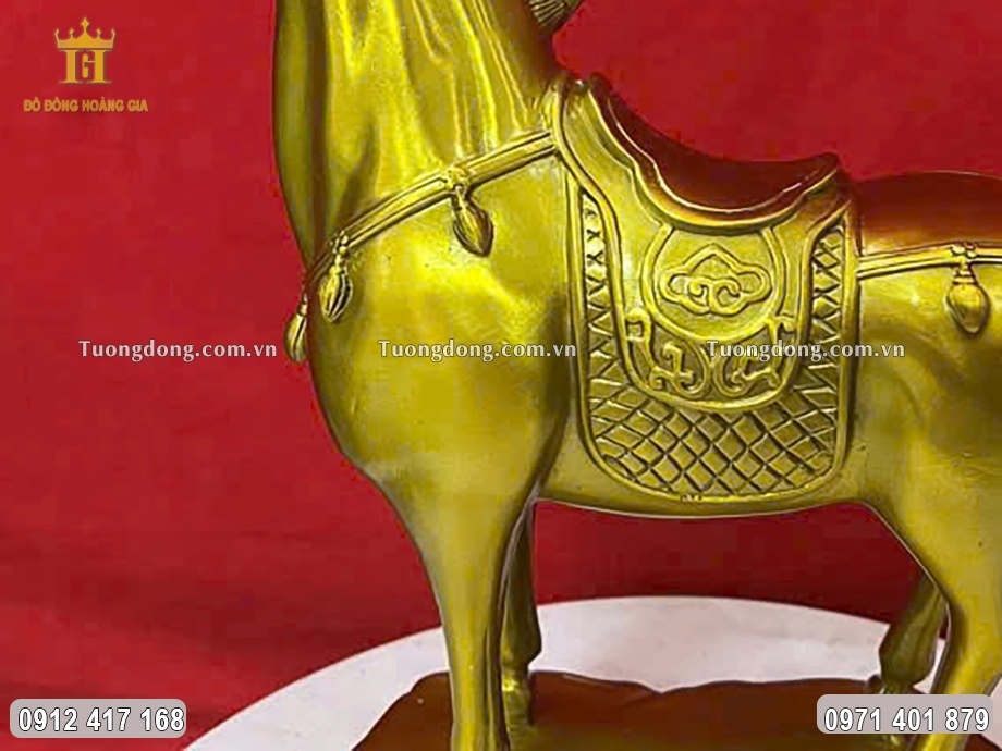 Hình ảnh thân ngựa